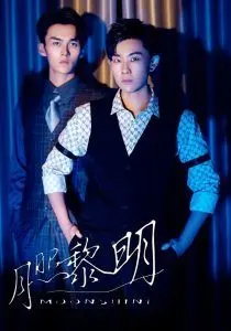 《月照黎明》影评：黑暗中的希望之光，一部关于救赎与重生的感人佳作